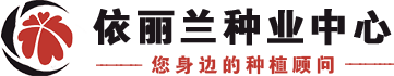 花卉種子|草坪牧草種子|中藥材蔬菜花海種子|林木苗木|供應(yīng)商|批發(fā)公司