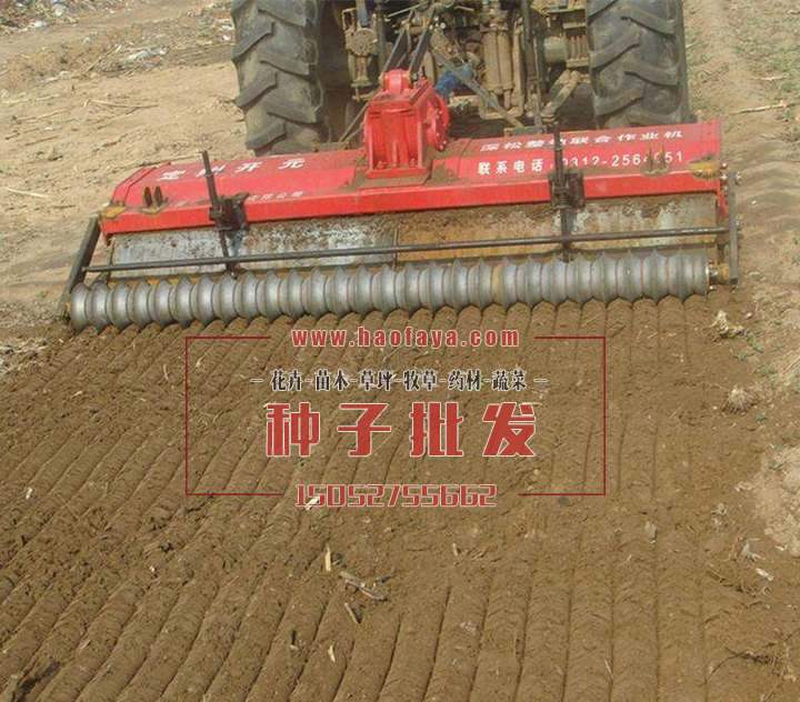 整地 耕種 播種