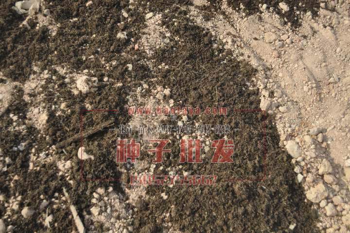 增加土攘基質(zhì)改良土攘