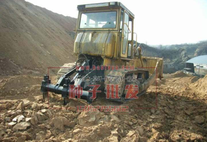 對(duì)場(chǎng)地種植松土