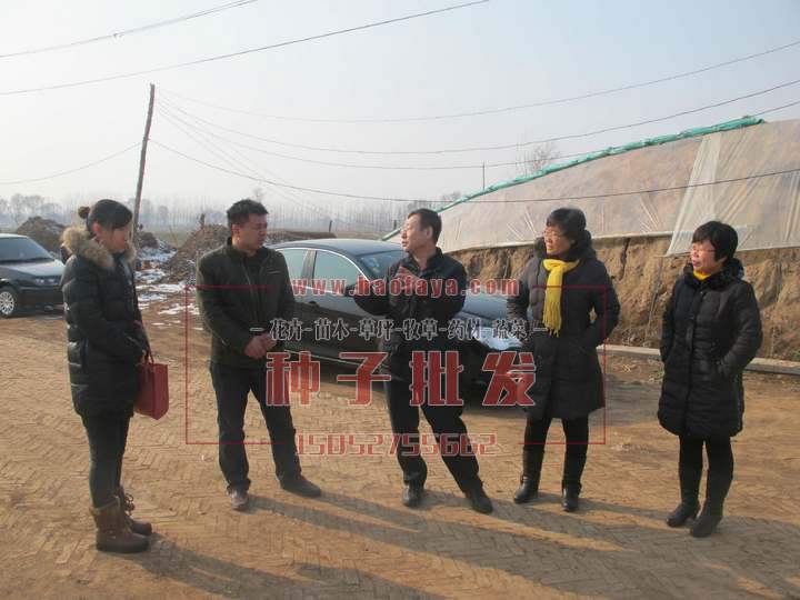 專業(yè)人員施工現(xiàn)場(chǎng)技術(shù)指導(dǎo)