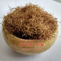 粉黛亂子草種子