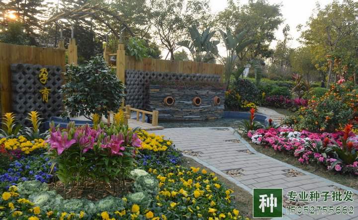 家庭園藝市場巨大