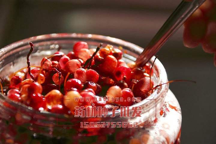 五味子功效與作用