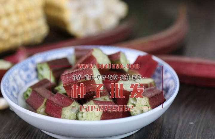 營(yíng)養(yǎng)價(jià)值豐富的紅秋葵