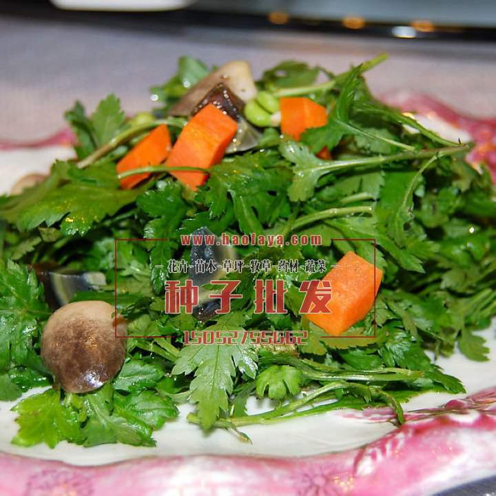 菊花腦食用價(jià)值