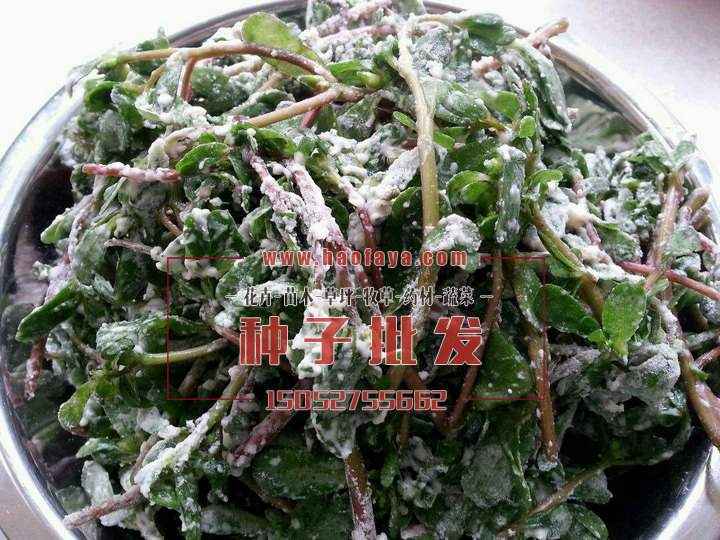 馬齒莧營(yíng)養(yǎng)價(jià)值