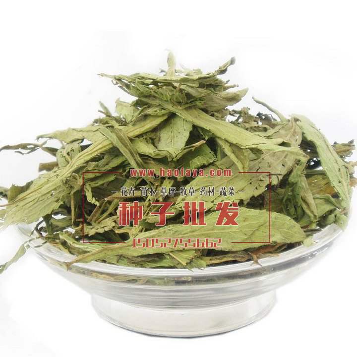 甜葉菊功效作用