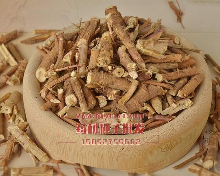 柴胡的價(jià)值很高