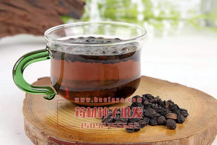 刺五加功效及作用