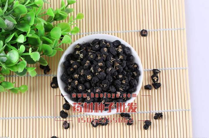 黑枸杞功效與作用