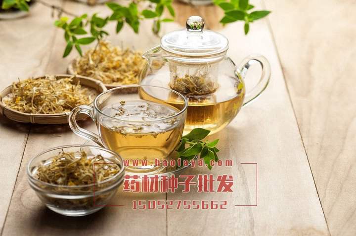 金銀花種植技術(shù)