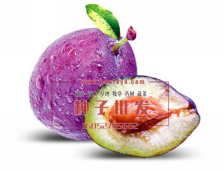 烏梅營養(yǎng)價值及功效作用