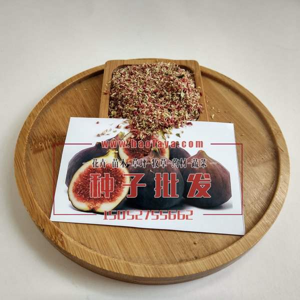 無(wú)花果種子