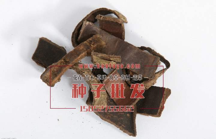 杜仲功效與作用