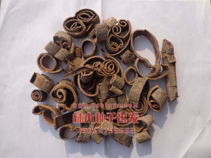 厚樸功效價(jià)值