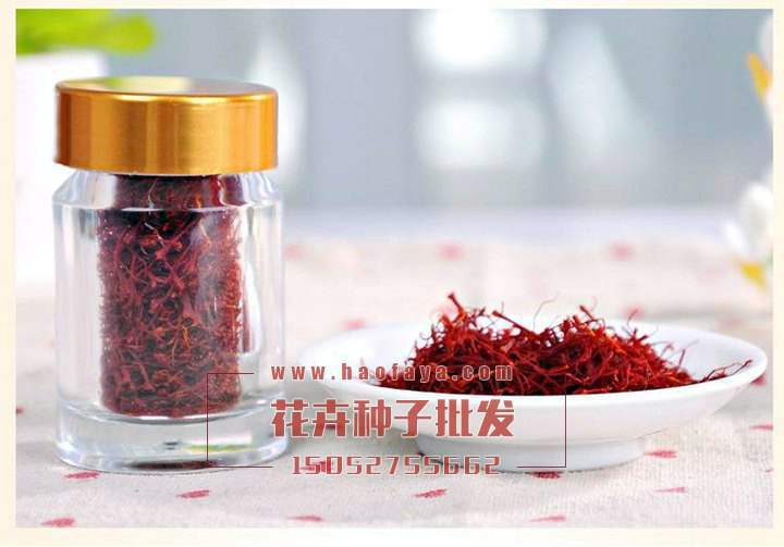 番紅花功效作用